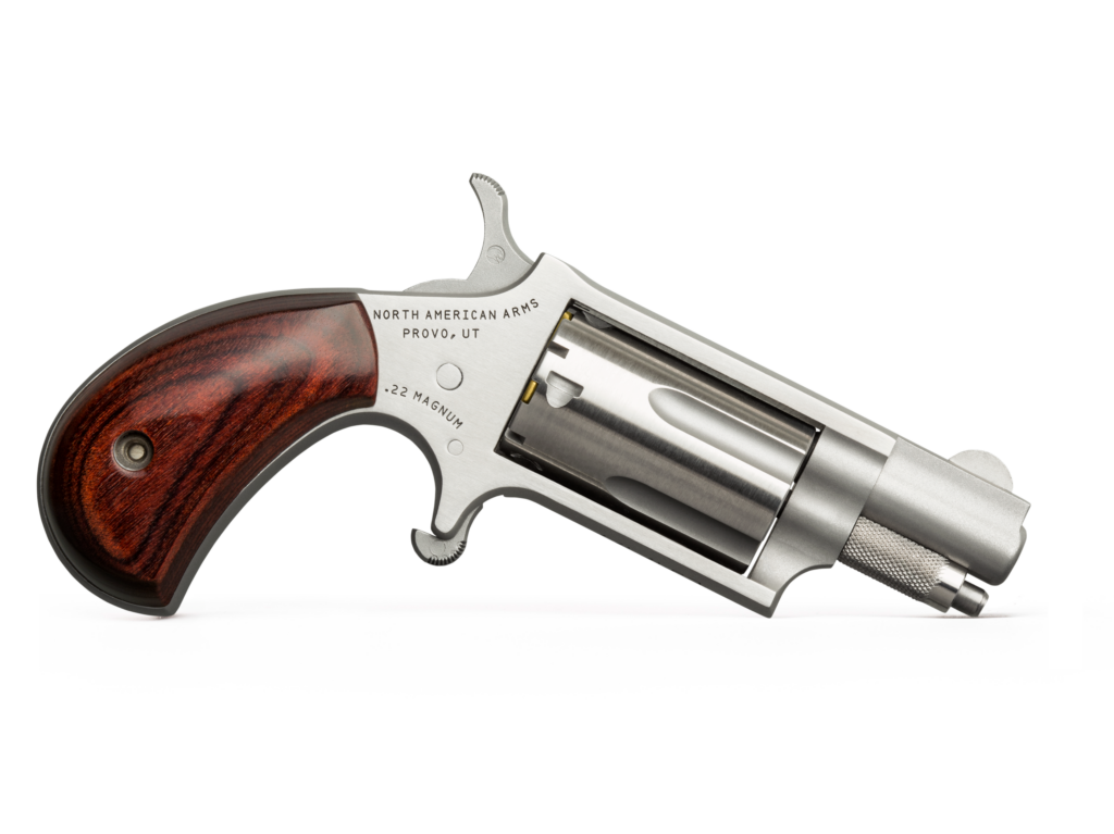 https://dynastyhandguns.online/2015/10/13/derringer-22/